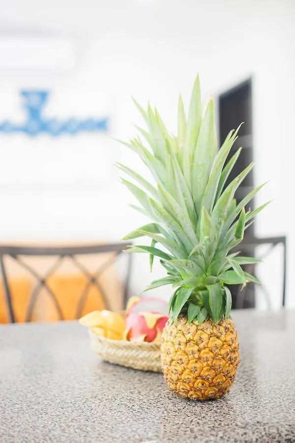 Asile Hotel Boutique Bacalar 0*,  Meksika