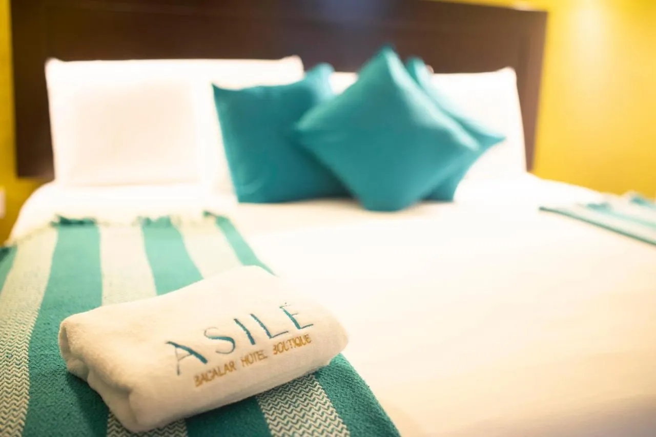 Asile Hotel Boutique 巴卡拉尔 墨西哥