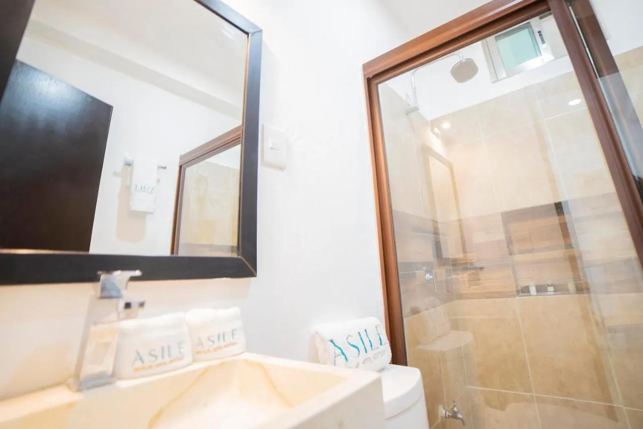 Asile Hotel Boutique 巴卡拉尔
