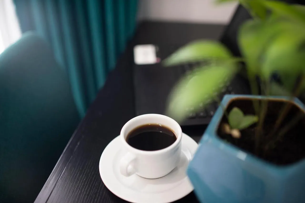 Asile Hotel Boutique 巴卡拉尔 墨西哥