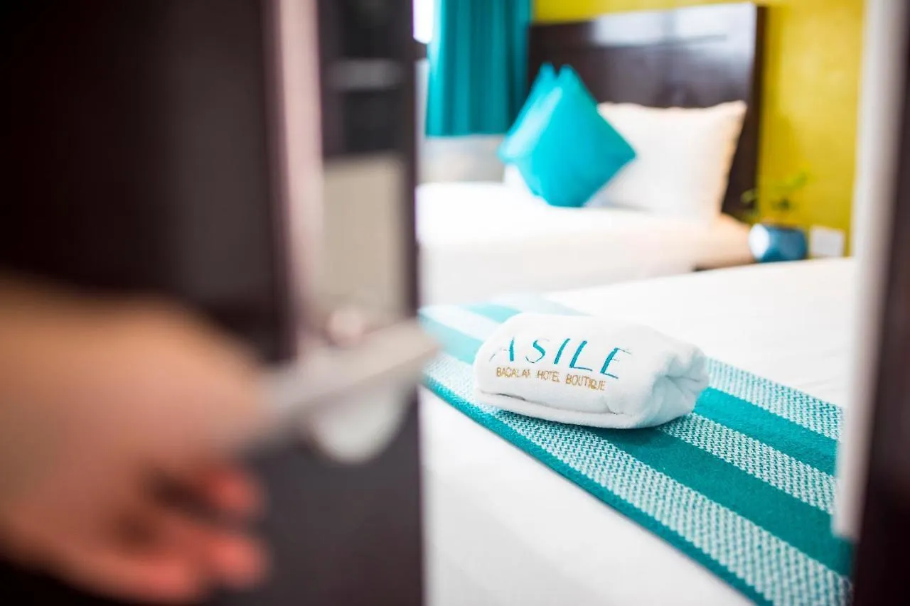 Asile Hotel Boutique 巴卡拉尔