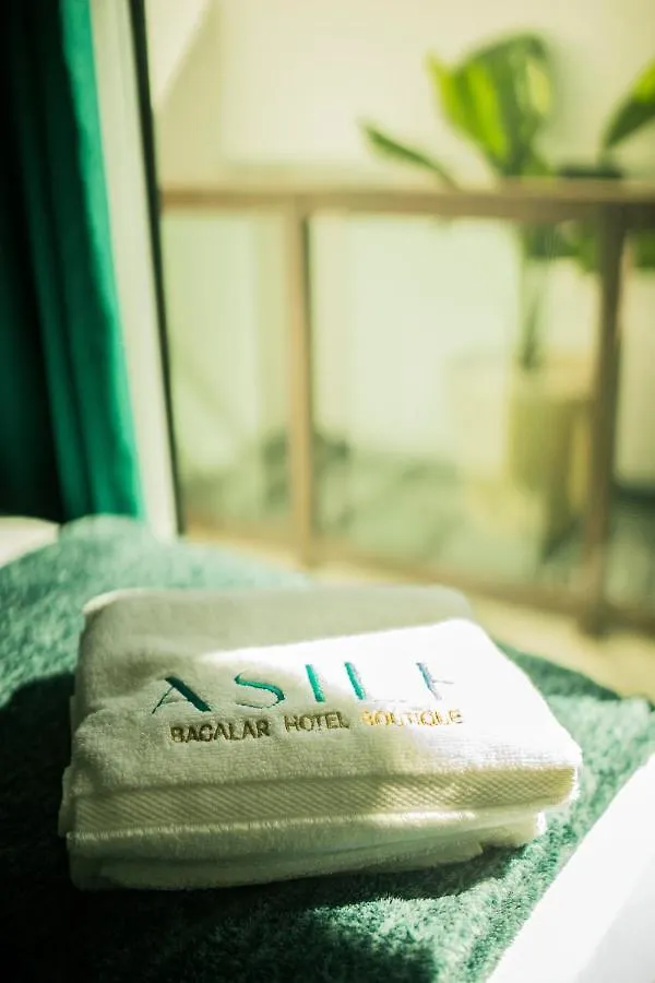 Asile Hotel Boutique 巴卡拉尔 墨西哥